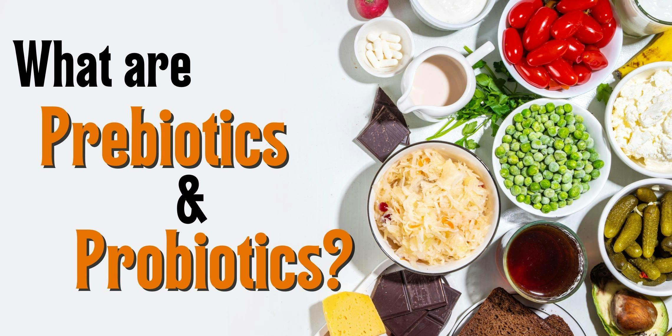 What are Prebiotics and Probiotics? A Quick Guide to Gut Health - Manna