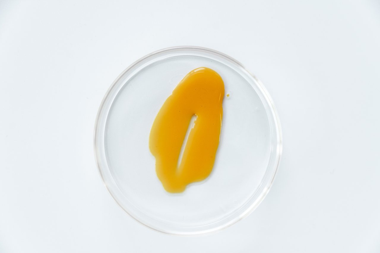 Curcumin in a petri dish