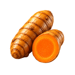 Turmeric root